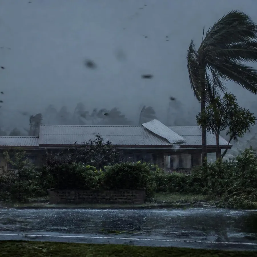 Une maison au toit de tôle sous un cyclone, cocotiers pliés par le vent, pluie à l'horizontale et jardin inondé