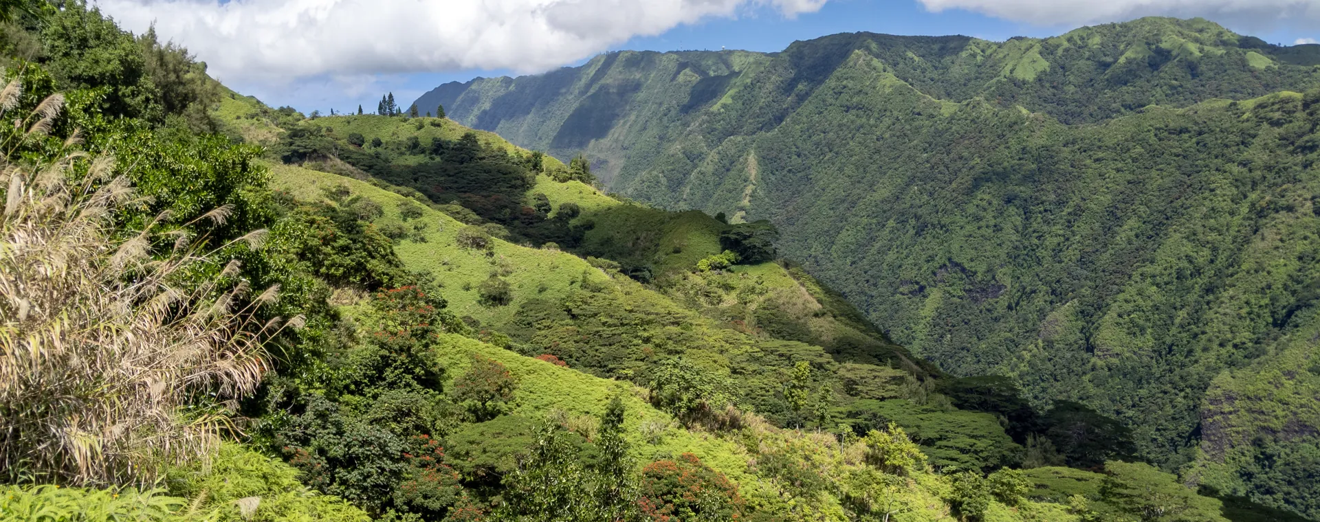 Le Belvédère, Tahiti