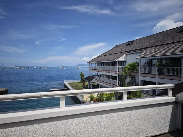 La vue depuis le solarium