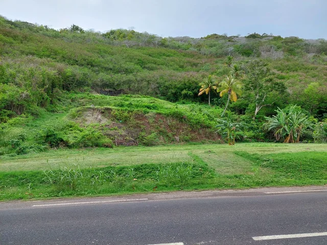 Terrain à Moorea